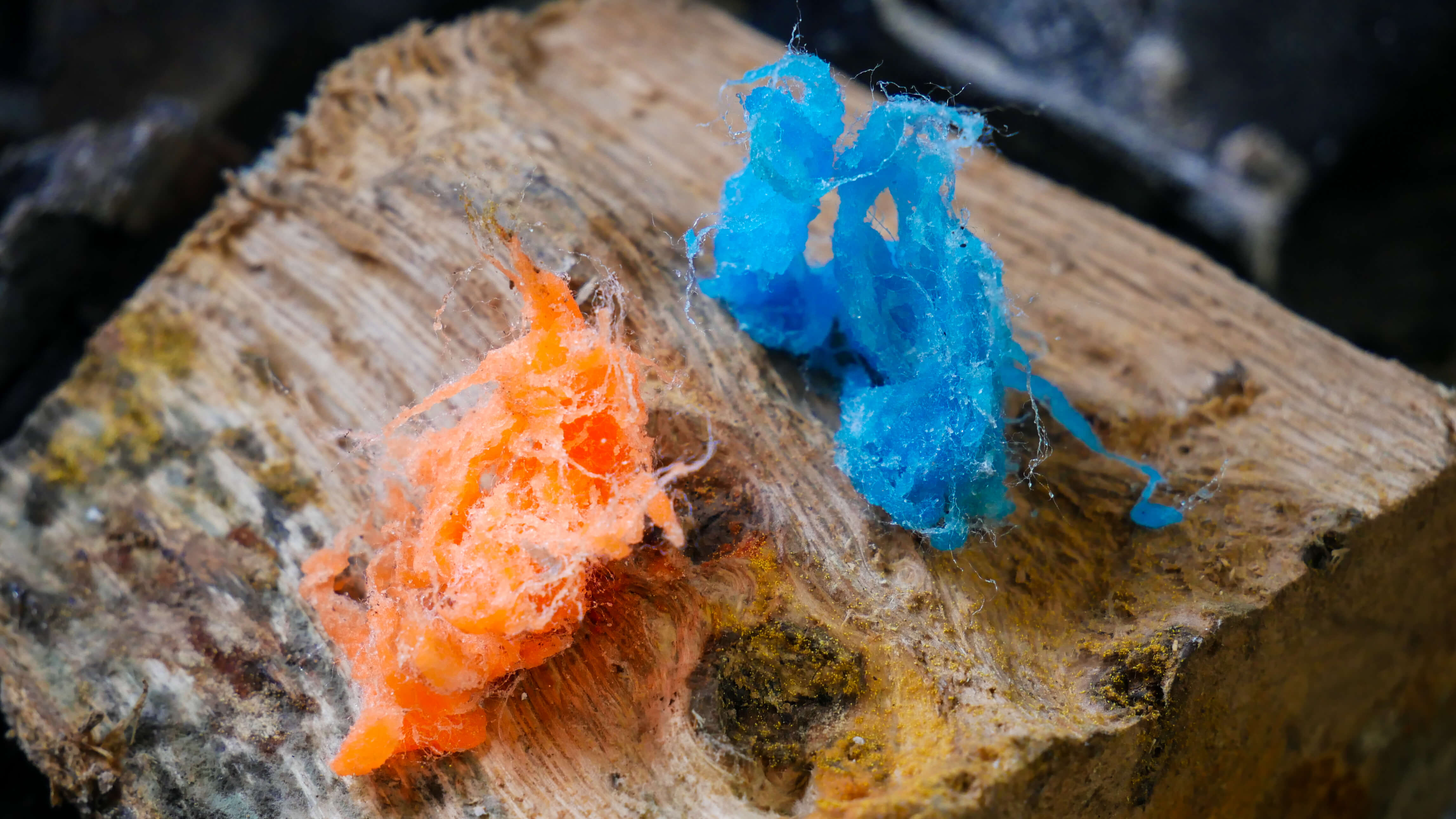 Summer and winter waterproof fire-starting solution